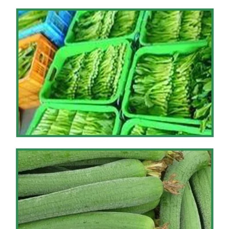 工具推荐类——办公用品品牌大盘点